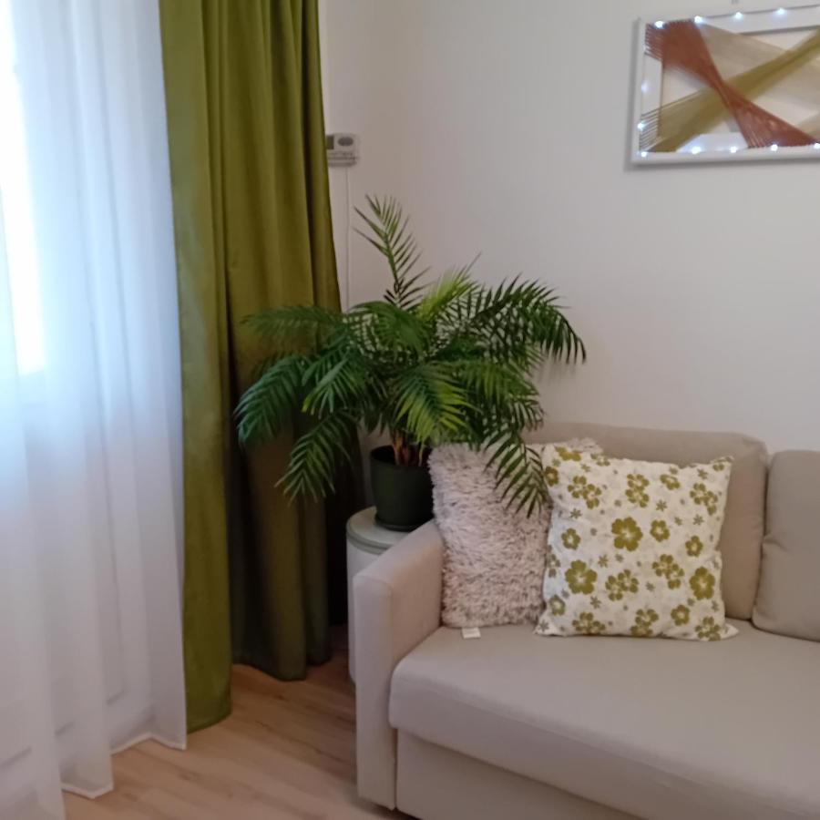 Harmonyhouse Apartment Brasov Bagian luar foto