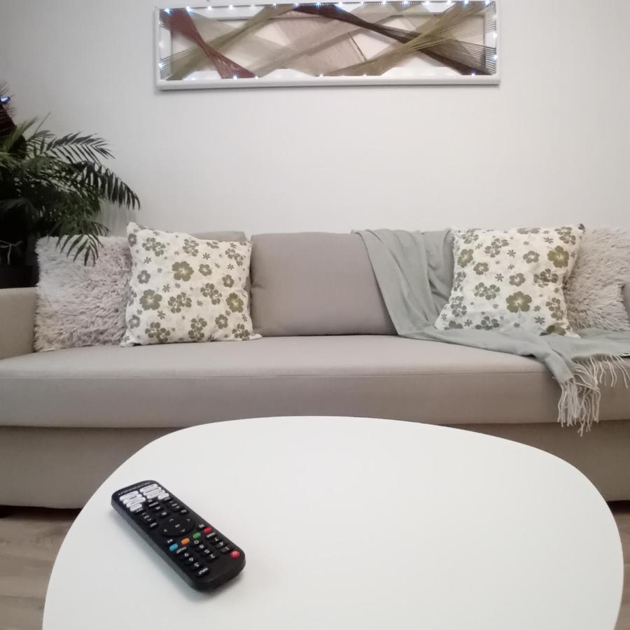 Harmonyhouse Apartment Brasov Bagian luar foto
